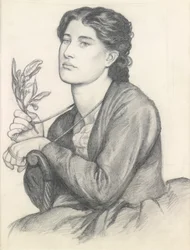 El laurel